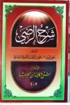 شرح الرضی ( شرح کافیه ابن حاجب ) 2 جلدی